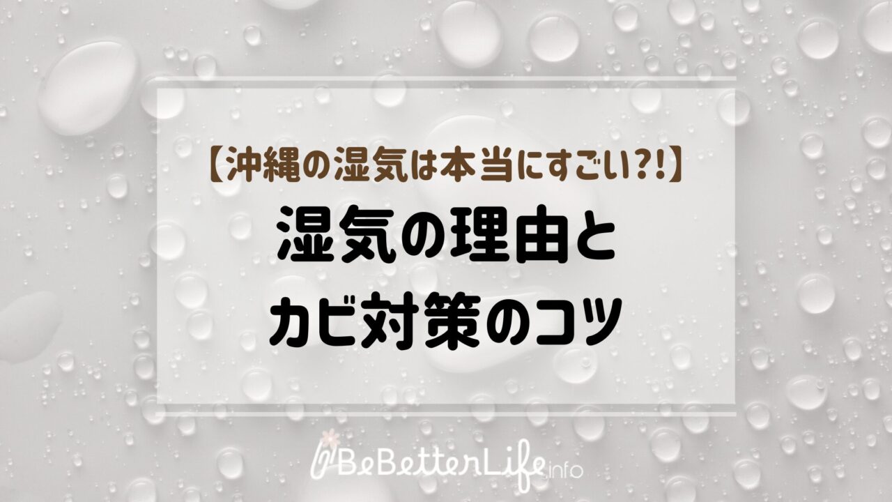 【沖縄の湿気は本当にすごい?!】湿気の理由とカビ対策のコツ