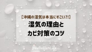 【沖縄の湿気は本当にすごい?!】湿気の理由とカビ対策のコツ